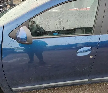 Dacia Logan II Rear door