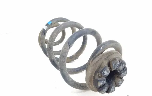 Nissan Qashqai Rear coil spring