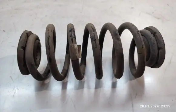 Rear coil spring