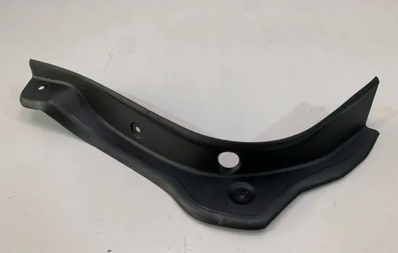 Rear/tail light trim molding