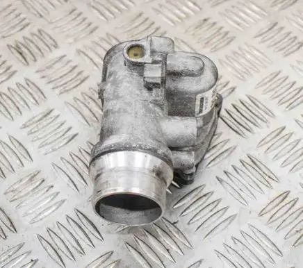 Dacia Sandero Throttle valve 095301044 161A05457R