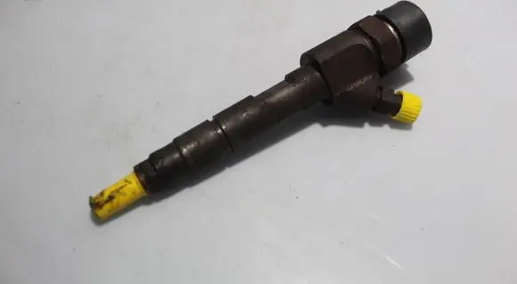 Renault Scenic II - Grand scenic II Fuel injector 0445110110