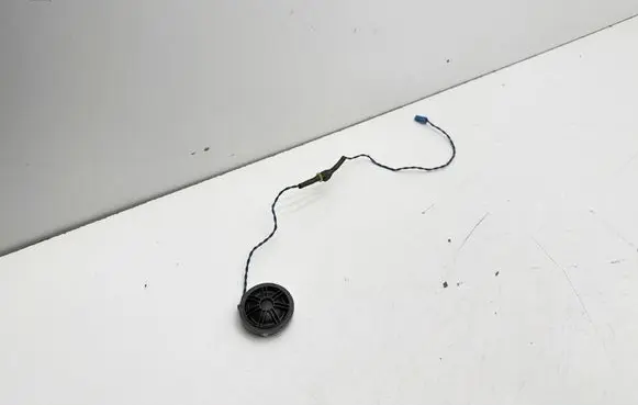 BMW X3 F25 Front door speaker 9220750
