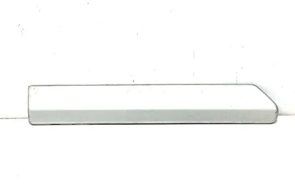 Rear door trim (molding)