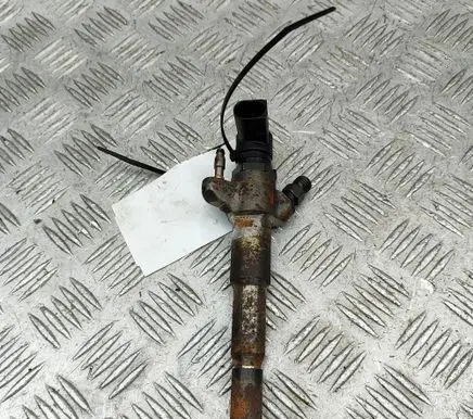 Opel Movano B Fuel injector 166000372R