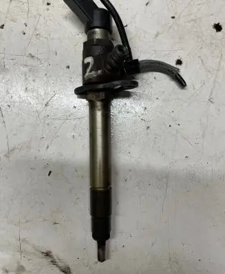 Land Rover Range Rover Sport L320 Fuel injector 030010