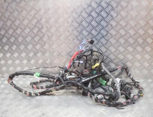 Tesla Model S Other wiring loom 107821300A
