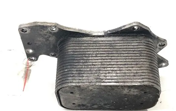 Audi A6 Allroad C6 Engine oil radiator 059117021J