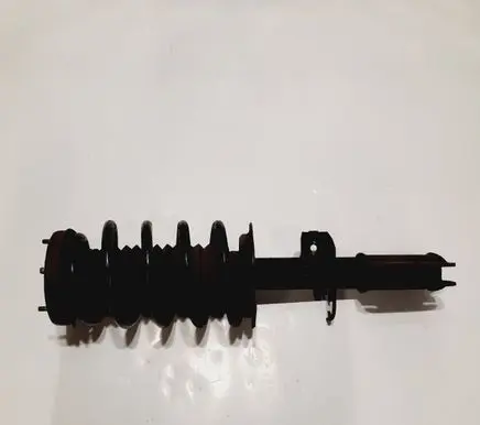 BMW X5 E53 Front shock absorber with coil spring 6750360