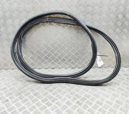 Ford Mustang Mach-E Trunk rubber seal (body) LJ8BR404A07AA