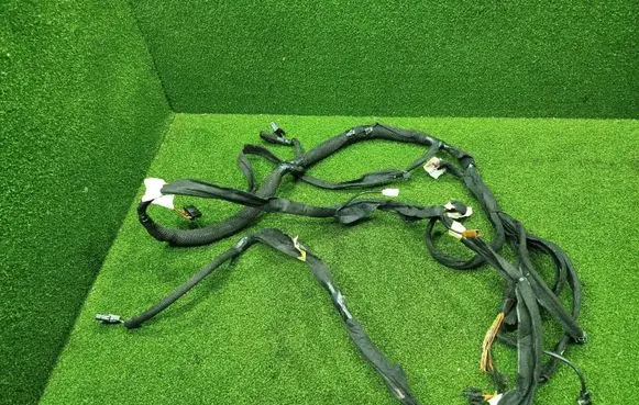 Other wiring loom