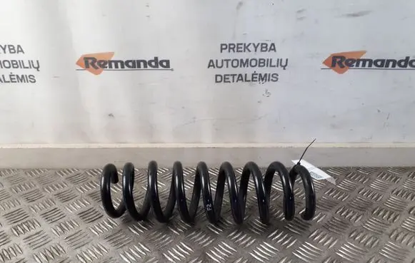 Rear coil spring