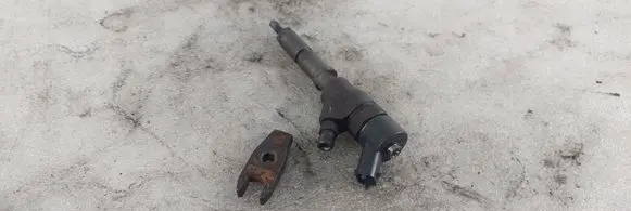 Citroen Xsara Picasso Fuel injector 0445110062
