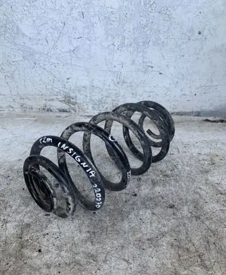 Opel Insignia A Rear coil spring