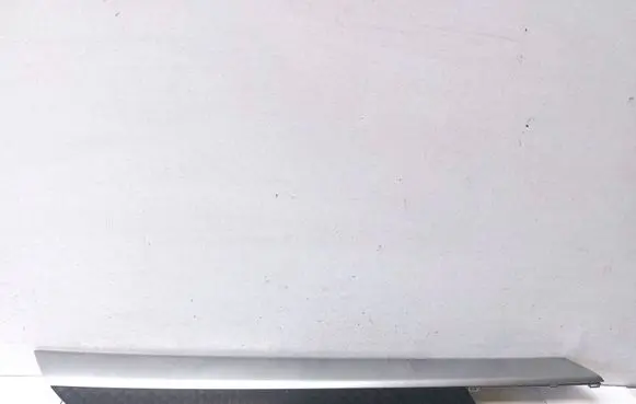 BMW X6 E71 Rear door card trim 4560700