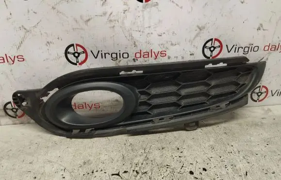 Front fog light trim/grill