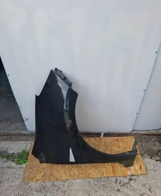 Renault Wind Fender