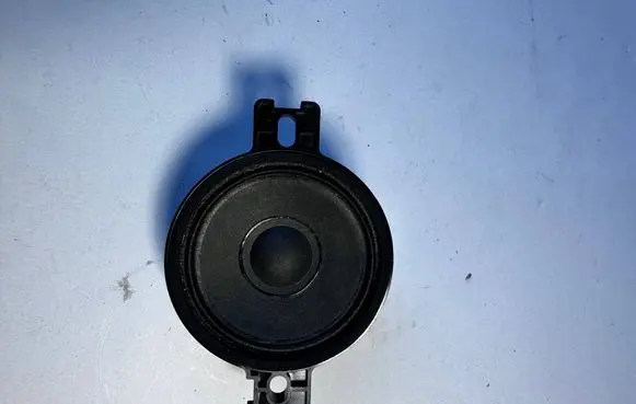 Panel speaker