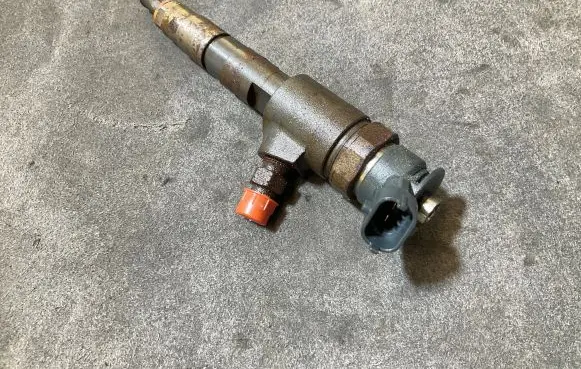 Peugeot Partner III Fuel injector 0445110566