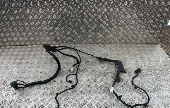Tesla Model S Other wiring loom 100443003A