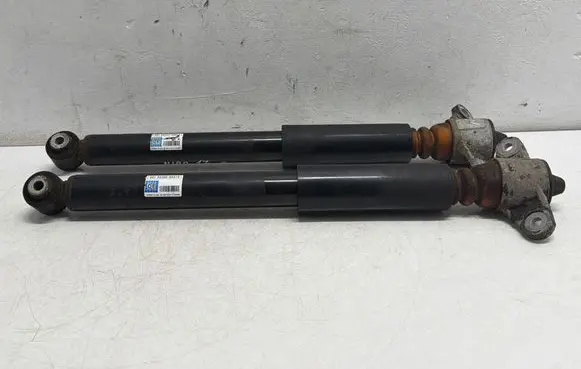 KIA Niro Rear shock absorber/damper 55300G5510