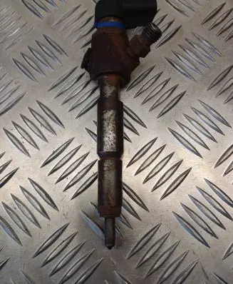 Ford Transit - Tourneo Connect Fuel injector 7T1Q9F593AB 53921