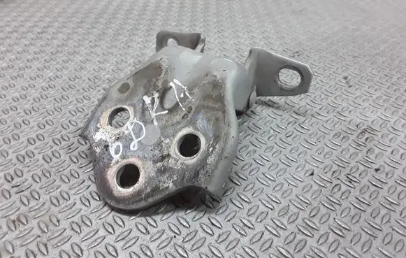 Hyundai Santa Fe Front door lower hinge 