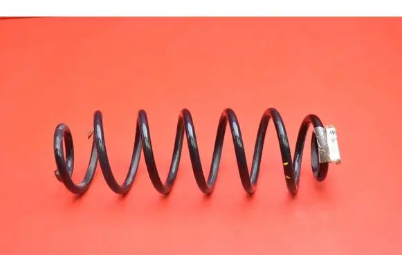Rear coil spring