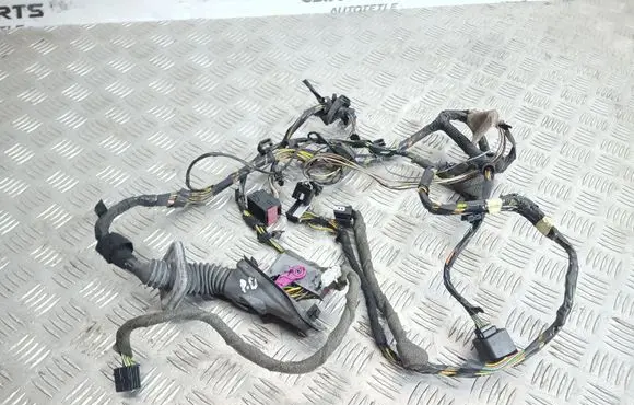 Front door wiring loom
