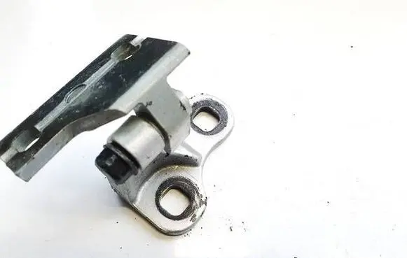 Rear door lower hinge