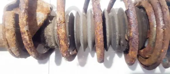 Front coil spring