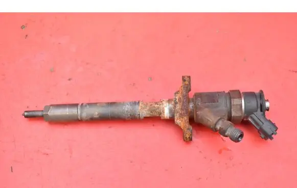 Citroen C4 Grand Picasso Fuel injector 0445110297