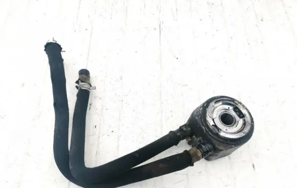 Citroen Xsara Picasso Engine oil radiator 