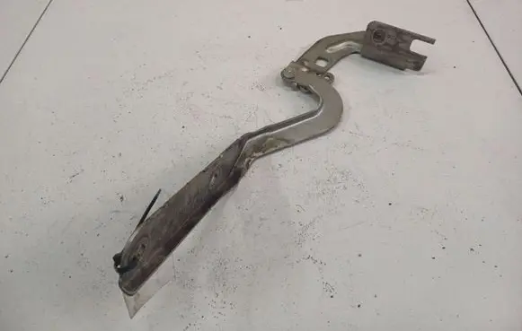 Tailgate/trunk/boot hinge