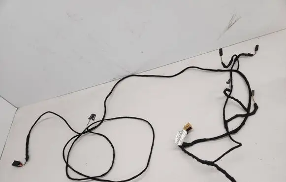Volkswagen PASSAT B8 Front door wiring loom 3G9971100AL 60841548
