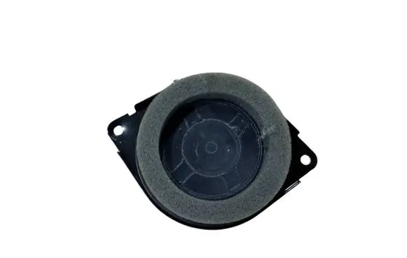Panel speaker