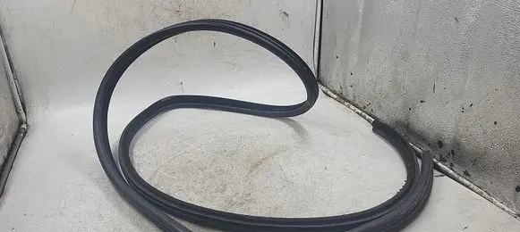 BMW 3 E46 Front door rubber seal 8194681