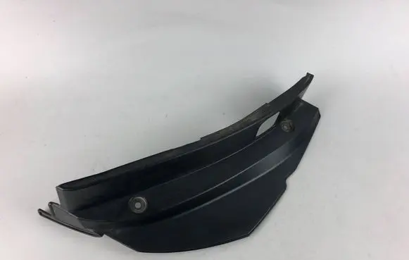 Rear/tail light trim molding