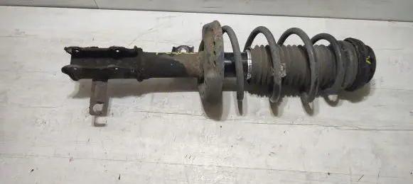 Chevrolet Cruze Front shock absorber with coil spring 13412719