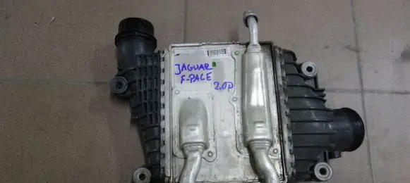 Jaguar F-Pace Refrigerator GX736K775AE