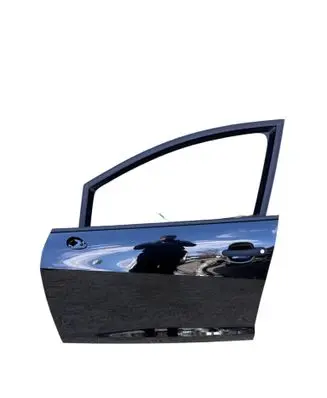 Seat Ibiza IV (6J,6P) Front door 