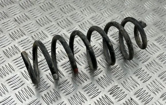 Nissan Qashqai Rear coil spring