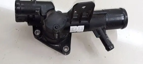 Thermostat/thermostat housing