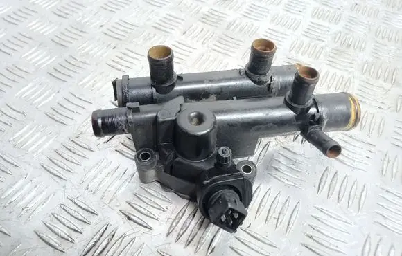 Thermostat/thermostat housing
