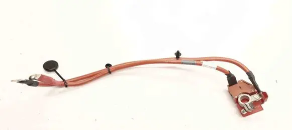 BMW 2 F22 F23 Positive cable (battery) 9253110