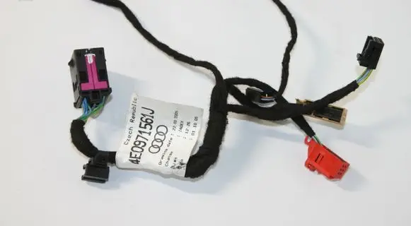 Front door wiring loom