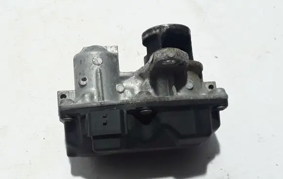 Renault Trafic III (X82) EGR valve 147109948R
