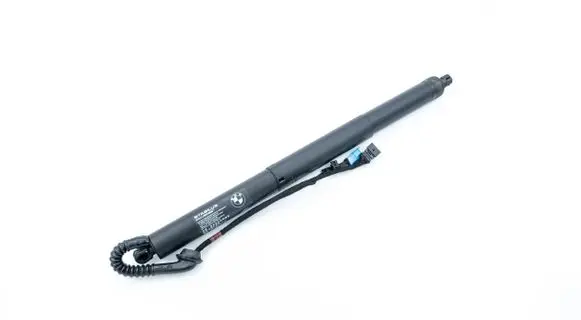 Tailgate/trunk strut/damper