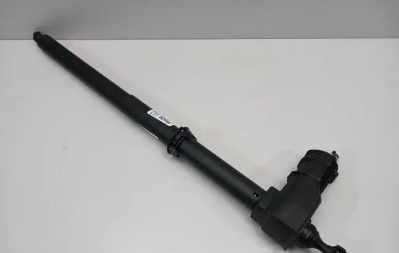 BMW 4 G22 G23 G24 G26 Tailgate hydraulic set 7487576