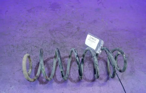 Ford Fiesta Rear coil spring